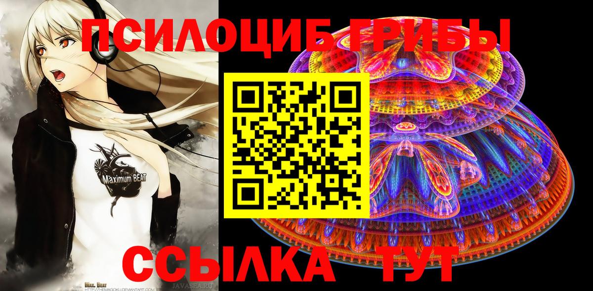 Псилоцибиновые грибы GOLDEN TEACHER  Вход с VPN  Псилоцибиновые грибы GOLDEN TEACHER  Богданович 